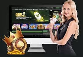 97mdl ငွေထုတ်မှတ်တမ်းစစ်ဆေးခြင်းနှင့် SSL လုံခြုံသောငွေကြေးကာကွယ်ရေးစနစ်